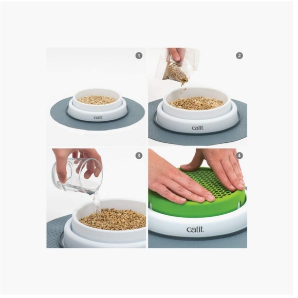 Cat Grass Planter and Refills - Picture 2 of 5